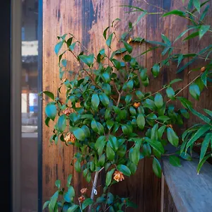  Homestay 美築八坂 Japan